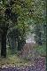 Troch� klimat�w z mojego �owiska.