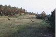 Troch� klimat�w z mojego �owiska.