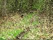 Od�o�enie - idzie dobrze