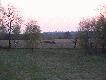 http://media.lowiecki.pl/zdjecia/wyswietl.php?nr=239037&dszer=787&dwys=590&nocount=