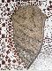 Inny frez, ale deski mi si� bardzo podobaj�.