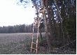 Tch�rzowa