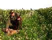 Sezon na rogacze rozpocz�ty. Podch�d o poranku 12.05.2010r. uwie�czony sukcesem.
