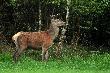 Ciekawe jak b�dzie wygl�da� jesieni�