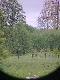 Fujinon 10x50 FMTRsx + tel. kom. 3,2 megapixel odleg�o�� ok.250m. Widok z mojego okna, rogacze i dziki bywaj�...