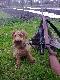 Wowa sied� i pilnuj Pan idzie w krzaki...