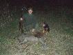SEZON 2010 
Po krtkiej przerwie  powracam do upamitniania sukcesw owieckich, ktre funduje mi W. HUBERT!  DARZ BR . THOR84 