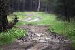 Najpierw si� rozgl�daj� ciekawie.