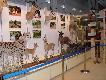 Te� tam by�em i piwo pi�em :-) szkoda ze tak szybko trzeba by�o jecha�