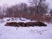 Strza�y od 40 do 95 metr�w