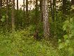 u�miech prosz�  :-))