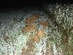 ....pstryka�em wiec dalej ...