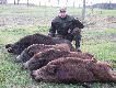 A to ju� efekt ko�cowy polowania do  godz 23. �w Hubert jest bardzo �askawy.