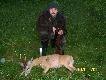 jak si� p�niej dowiedzia�em, dos�ownie chwile przed strza�em przerwa�o wa� na Wi�le jakie� 2 km ode mnie...teraz w tym miejscu jest woda...w sumie to jest na 1/2 pow. obwodu i si� powi�ksza :(    wiek rogacza 9 lat