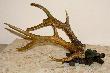 Troch� danych. Waga 842g. Tyki L=38cm, P=39,5.Dodatkowa odnoga 16cm. Odnogi przednie 7cm tylne 13 i 13,5. R�e 16 i 17,5cm.