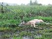 20.05.2010    wiek 6 lat