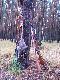 wrze�niowa g�
