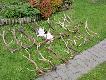 zrzuty s� pilnowane 24 godziny na dob�;)))