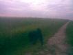 Ciekawy co tam w trawie piszczy.