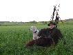 Mam u Huberta jakie� "plecy" , nie zd�rzy�em doj�� do ambony, a 8 dzik�w buchtowa�o ju� w owsie. Przelatka strzeli�em kole 20.00. 25.05.10