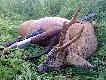 Wreszcie Hubert u�miechn�� si� i do mnie... wiek 6-7 lat. 