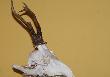 

......�adniejszy by� przed....