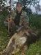 Aby �ycie mia�o smaczek-�aciatek:-)