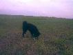 "GABO" znalaz� co� co go zainteresowa�o.