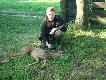 Drugi rogacz to nieregularny sz�stak wiek oko�o 4 lat, oczywi�cie sektor VII z podchodu tego rogacza mia�em na strza� tego samego dnia co my�kusa ale mu odpu�ci�em twierdz�c �e to za du�o by by�o na raz. uda�o si� ostatniego dnia w niedziel� 6 czerwca rano tu� przed wyjazdem. 