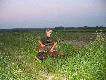 Godzin� przed wschodem s�o�ca, dnia 10.06.10r strzeli�em tego oto przelatka. Dzi�kuje �w Hubercie!