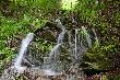 Bieszczady, mi�dzy Nasicznem a Dwernikiem