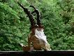 �w. Hubert darzy�:-) waga 510 gram