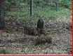 A tu ju� jedna z mam, by�o ich trzy, ale nie chcia�y wsp�lnie pozowa�...