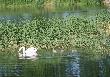 
...maluchy nie chcia�y pozowa�....