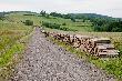 To te� Bieszczady. Przykry widok.