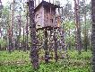 obw�d 289 - �owisko Ciechocin
