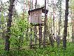 obw�d 289 - �owisko Ciechocin