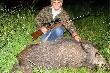 Czerwcowy dziczek
Strzelony w praw wiec.Amunicja 222 rem , wasna elaboracja.Dzik way ok 35 kg,wielko na zdjciu to odpowiednie uoenie aparatu fotograficznego.Od tabakiery po chwost by mniejszy ni dugo sztucera widocznego na zdjciu.