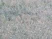 Wida� , �e opr�cz loch jest jeszcze co�.