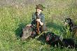 Wczoraj o �wicie Hubert by� �askaw da� mi si�dmego w tym sezonie dzika.