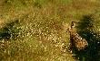 My�lisz,�e Ci� nie wida�? 