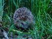by�a prawie 22, wi�c wysz�o jak wysz�o