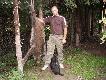 Wrze�niowy dzik
