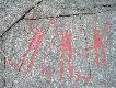 Foto 73:
Co� dla �ajkarzy.
Ale pies pierwszy z lewej troch� przypomina kota :-)