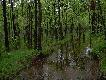 tegoroczna pow�d�.. teraz 2 miesi�ce po wielkich deszczach woda stoi nadal, cho� mamy zagro�enie po�arowe.