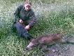 Wieczorny postrza�ek mojej kole�anki Marysi , podniesiony rano