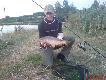 Dzisiejszy karp zlowiony na chleb z floty :) waga 2 kg i 48 cm.
