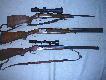 Bro
od gry:
1. CZ 527 Ebony Edition .223 Rem + Weaver Extreme 2,5-10x56
2. Beretta 686 E Sporting 12/76
3. Dryling Fortuna Suhl 7x65R, 2x16/70 + Revue 3-9x40
4. CZ 550 LUX 8x57IS + Weaver Extreme 2,5-10x56