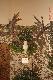 Niewiele gorszy (i chyba sporo m�odszy) byk strzelony w tym samym �owisku. Ponad 230 pkt CIC.