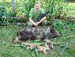 dziczek Taty, a m�j lisek 
